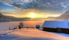 梦想是冬日暖阳