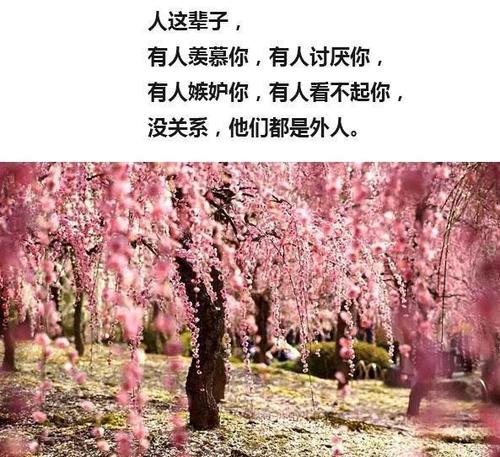 走自己的路，让其他人谈论