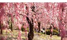 走自己的路，让别人说去吧