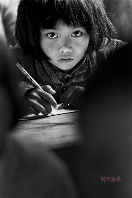 这就是我的阅读方式