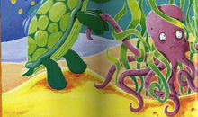 “笨拙”的螃蟹