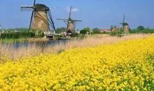 读懂幸福，改变态度