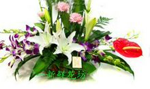 让和平之花处处盛开