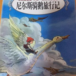 尼尔斯骑鹅总结