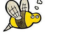 读《蜜蜂》有感