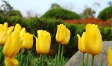 我和秋婆婆的约会