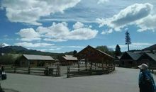 笛中何处闻折柳