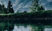 如果方向错了，那么前进就是倒退