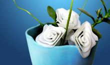 因为遇到你而与众不同