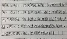 难忘那__的眼神600字作文