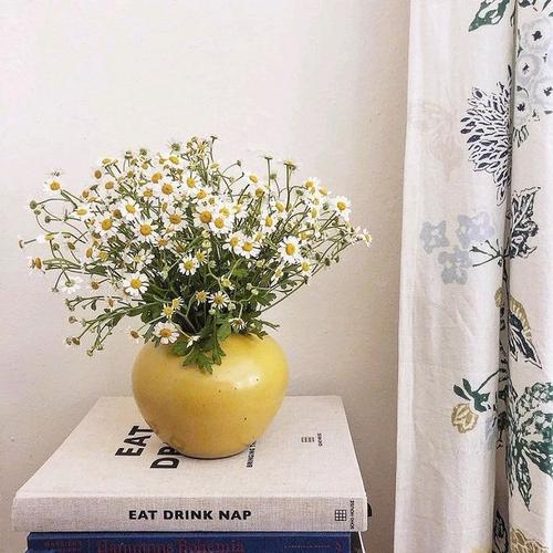 逆境中最美丽的开端