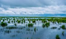 走进心灵的红楼