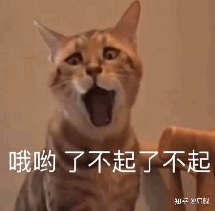 再次选择