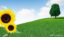 乐观让我如此美丽