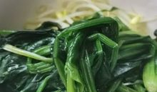 坚强的“豆芽”