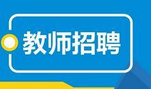 不一样的“老师”