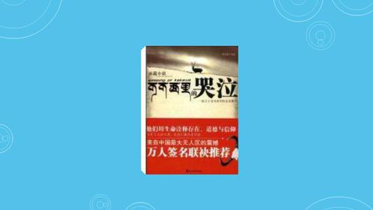 我试图理解生活的意义