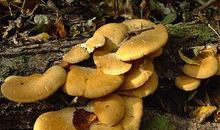 我人生中的第一桶金