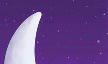 那神情进入了我的视线