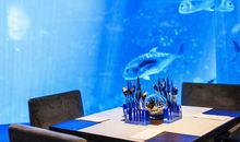 海世界，海立方