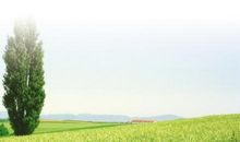 读茅盾《风景谈》有感