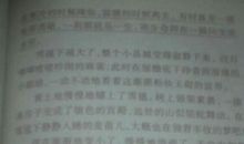 以快为话题写一篇作文