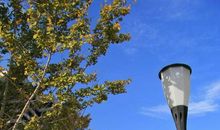 城市细节——路灯