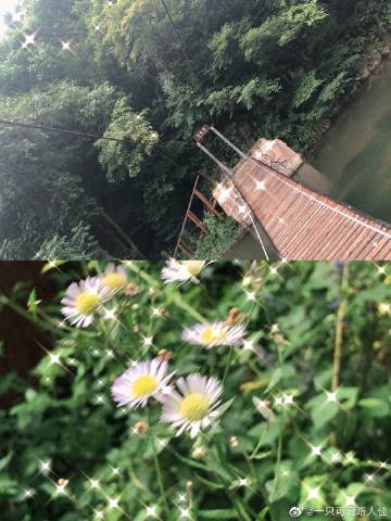 南风过境