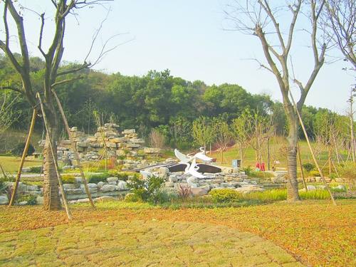 游黄山公园