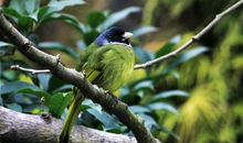 读《生命的奇迹》有感