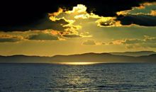 您走进了我的视线