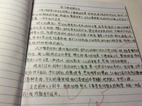 我的家庭学习生活的组成