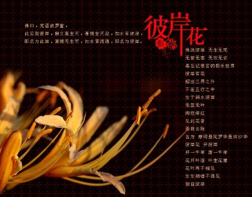 珍惜您拥有的每一个真爱