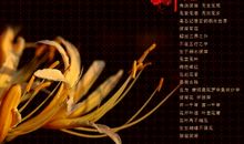 珍惜所拥有的每一份真情