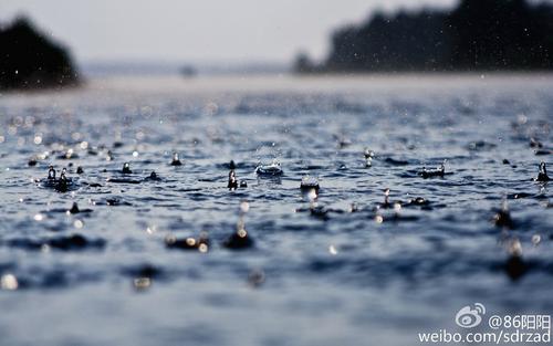 在雨季闪耀