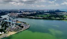 我的新加坡之行