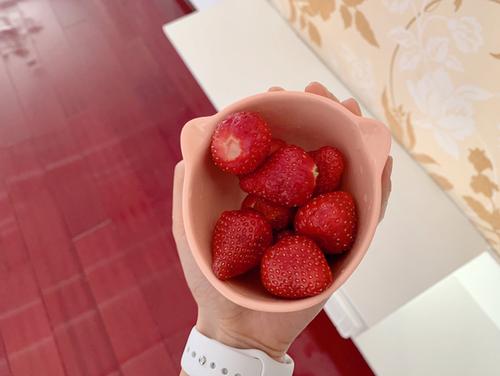 珍惜开学