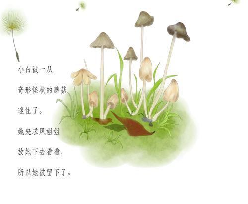 蒲公英的旅行作文200字三年级