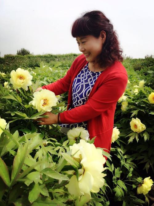 盛开的季节