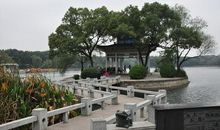 神农公园的奇妙之旅