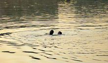 乡村趣事—第一次捉鱼