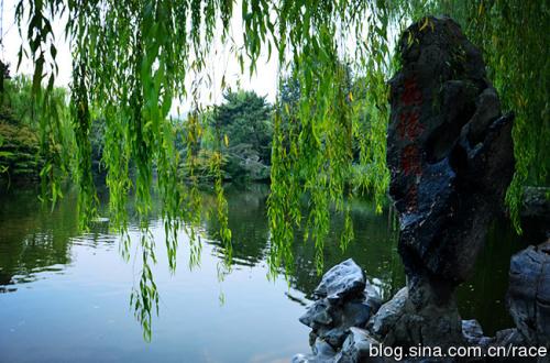 慢慢走，在路边看到最美丽的风景