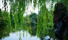 慢慢行，看路边最美的风景