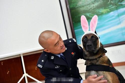 勤奋的警察