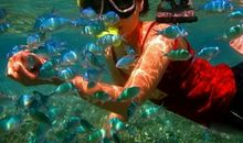 夏天的帕劳之行