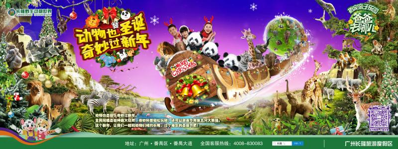 难忘的长隆动物园