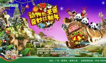 难忘的长隆动物园