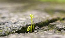 生命的意义是什么