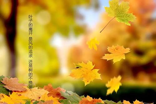 头脑冷静之后