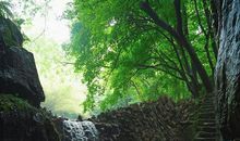 黑暗中消失的小路